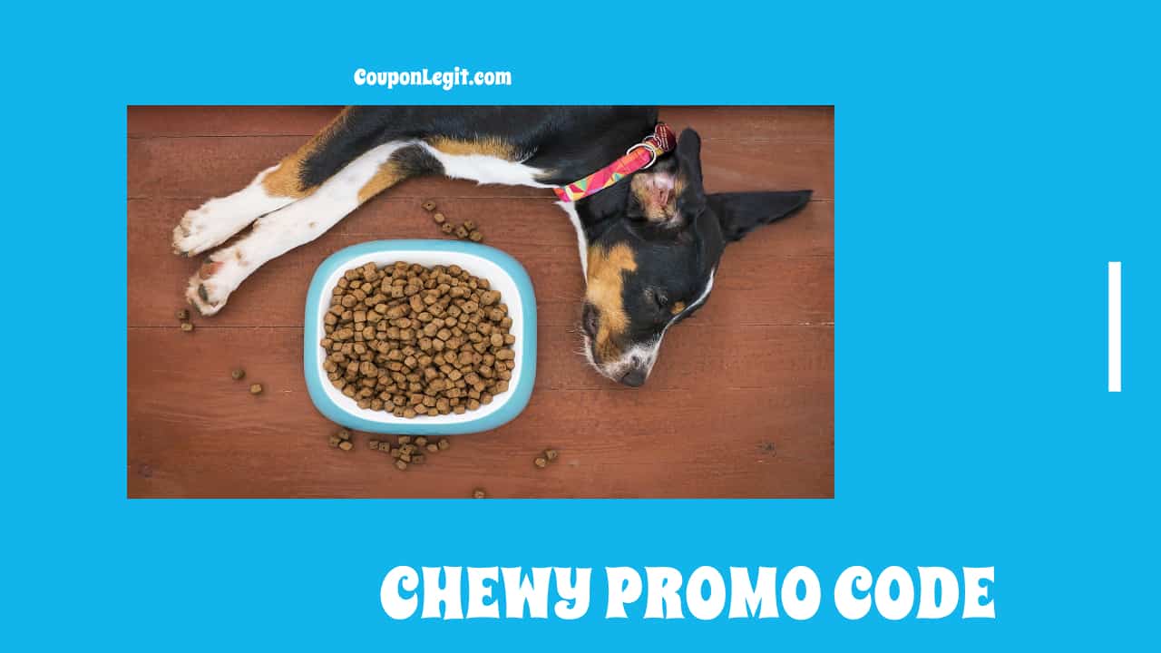 10+ Updated Chewy Promo Code [50 Off] DEC 2022